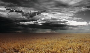 A storm is brewing